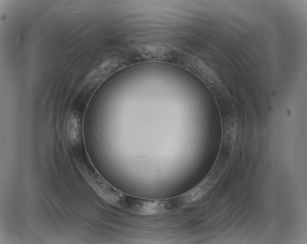 X0000086330130200703301240