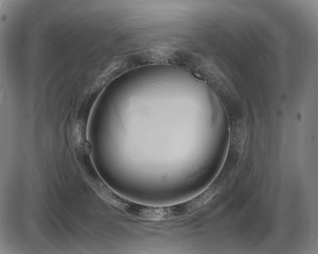 X0000086330131200703301240