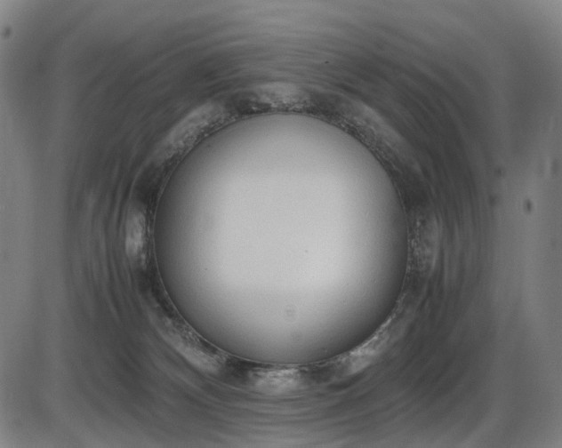 X0000086330132200703301240