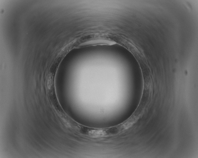 X0000086330133200703301239