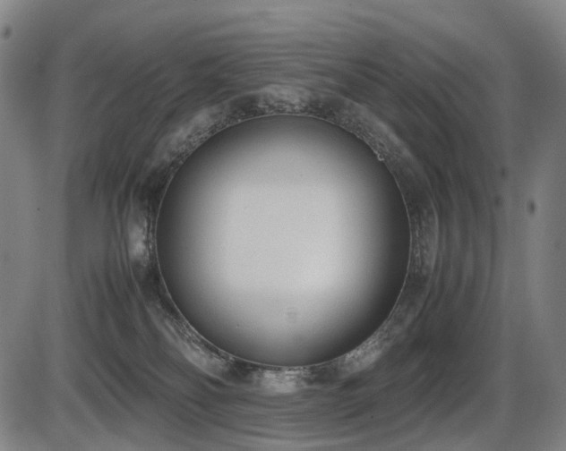 X0000086330134200703301239