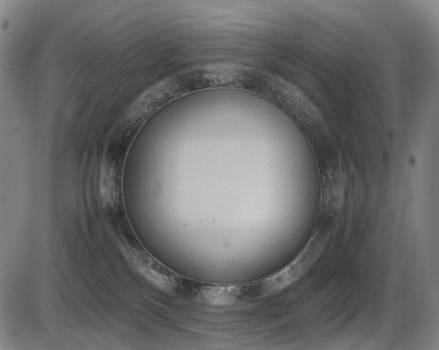 X0000086330136200703301239