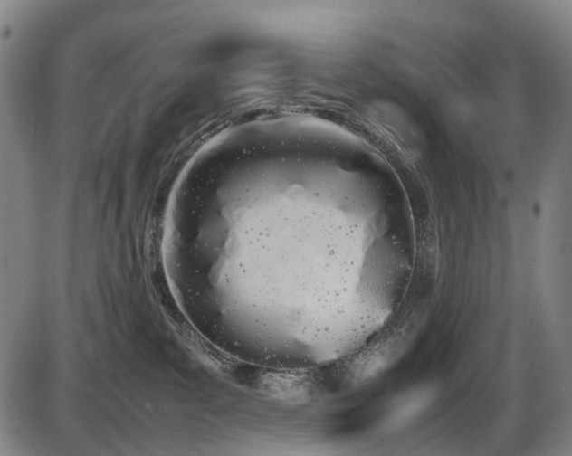 X0000086330139200703301239