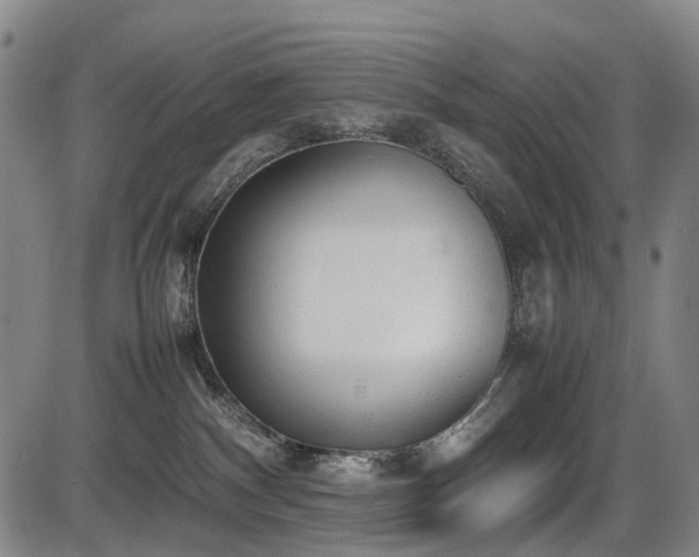 X0000086330140200703301239