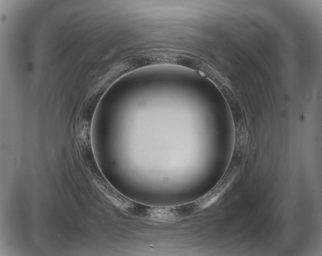 X0000086330141200703301239