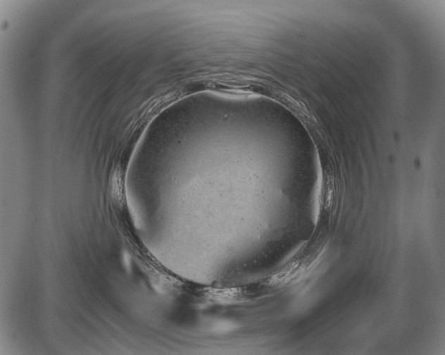 X0000086330143200703301239