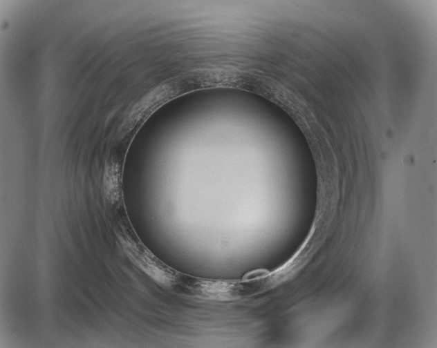 X0000086330144200703301239