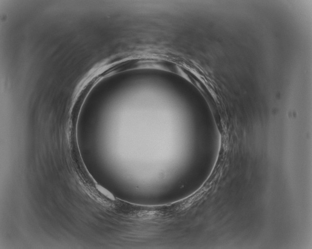 X0000086330152200703301239
