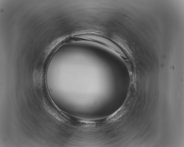 X0000086330156200703301239
