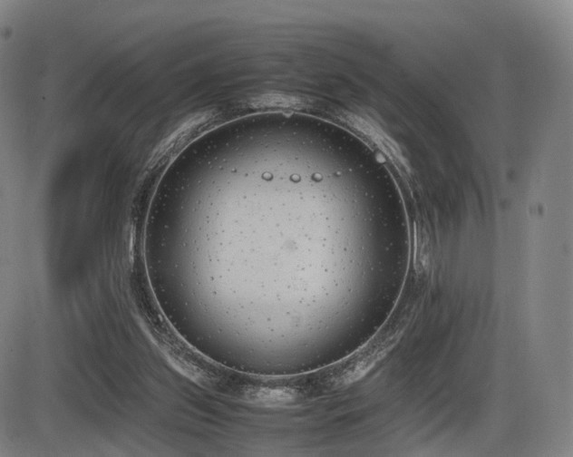 X0000086330157200703301239