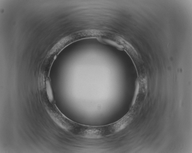 X0000086330158200703301239