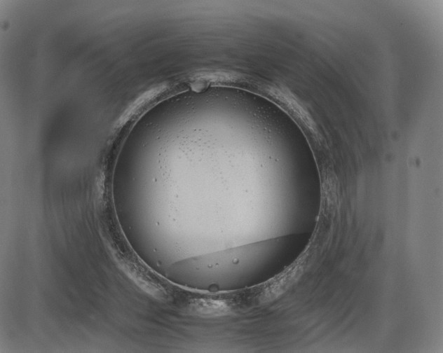 X0000086330159200703301239