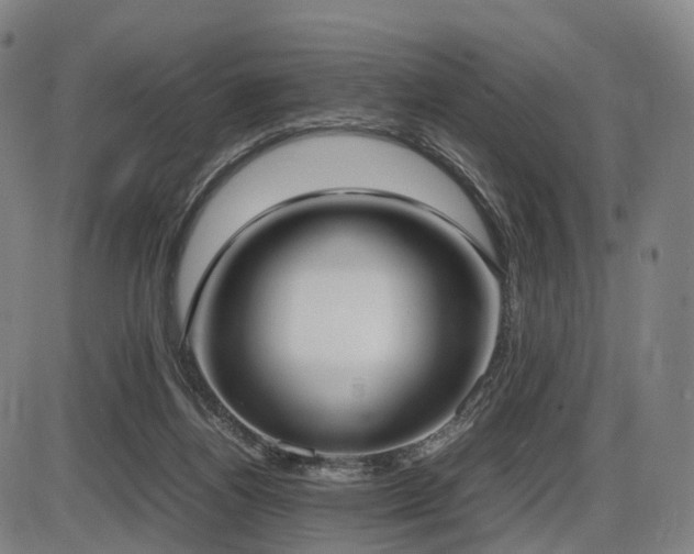 X0000086330164200703301239