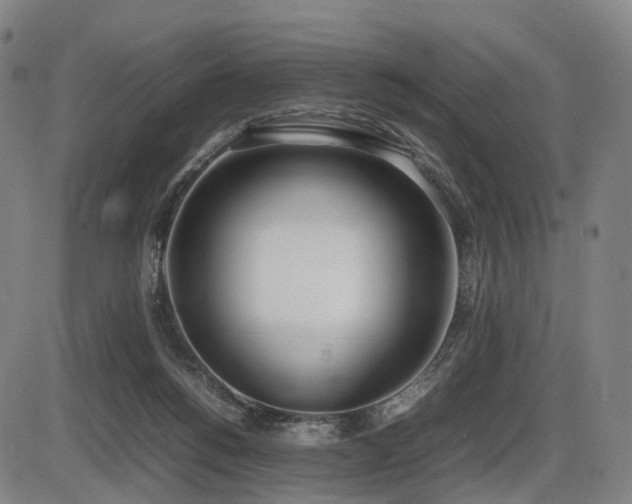 X0000086330168200703301239