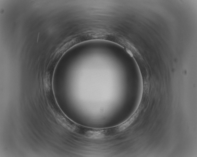 X0000086330170200703301239