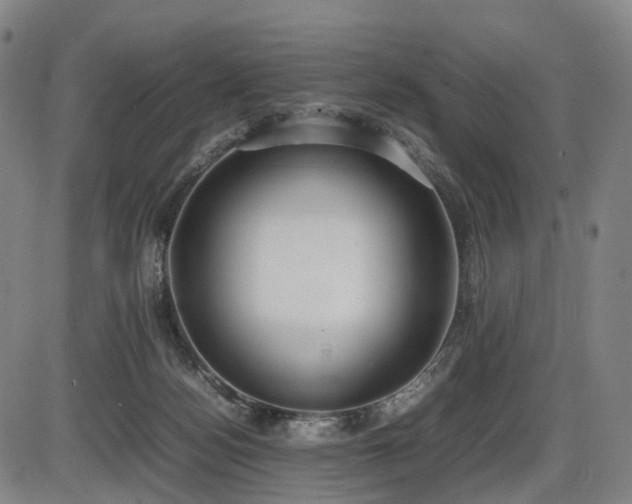 X0000086330172200703301239