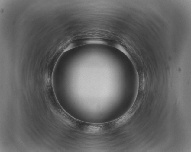 X0000086330176200703301239