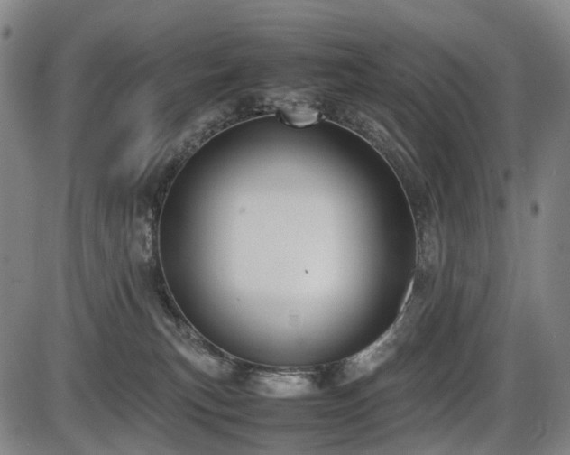 X0000086330183200703301239