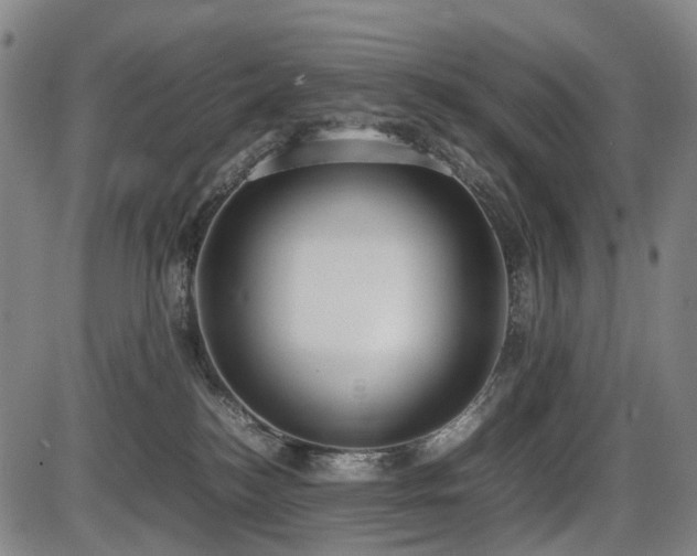X0000086330184200703301239