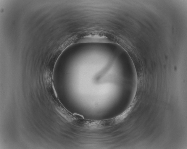 X0000086330186200703301239