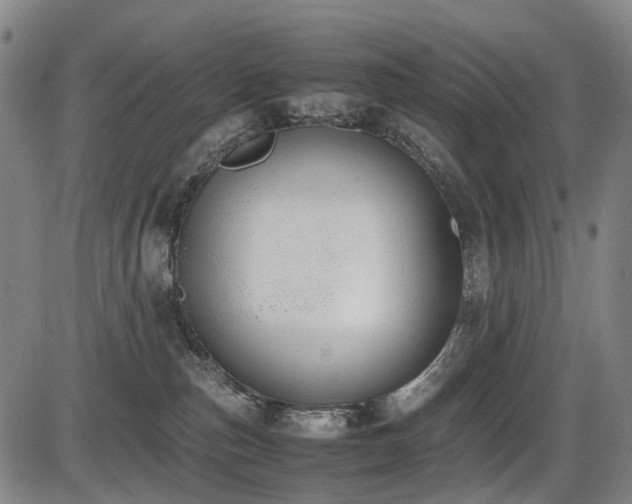 X0000086330187200703301239