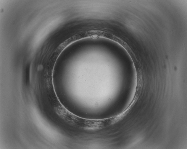 X0000086330191200703301239
