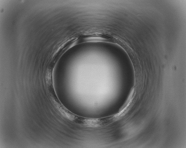 X0000086330192200703301239