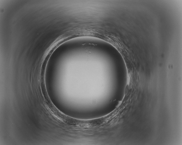 X0000086330195200703301238