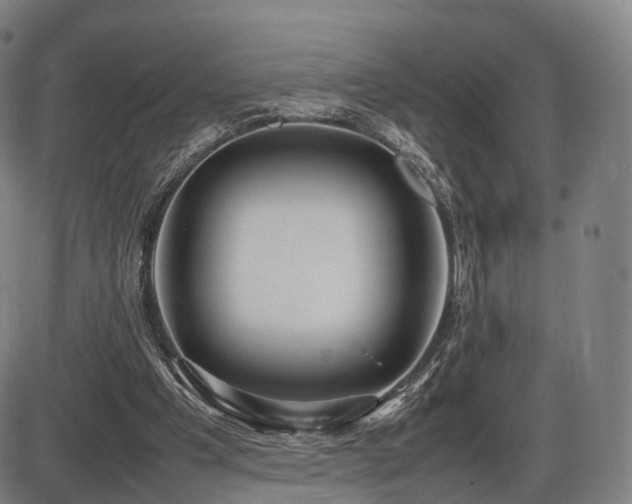 X0000086330201200703301238