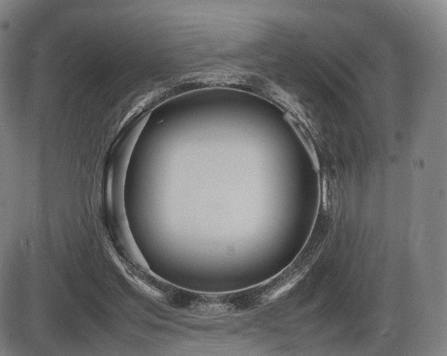 X0000086330205200703301238