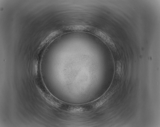 X0000086330206200703301238