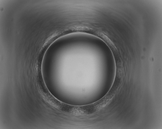 X0000086330207200703301238