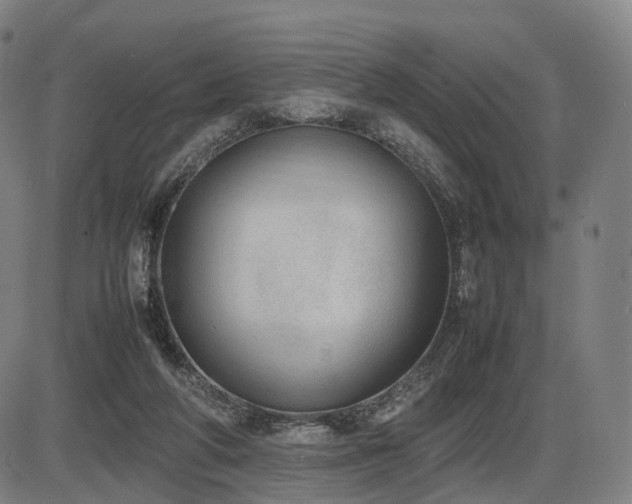 X0000086330210200703301238
