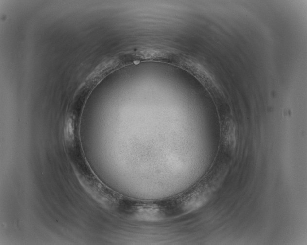 X0000086330214200703301238