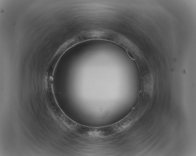 X0000086330216200703301238