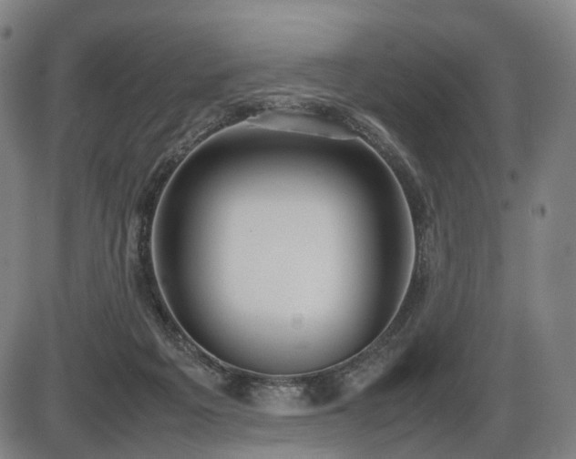 X0000086330217200703301238