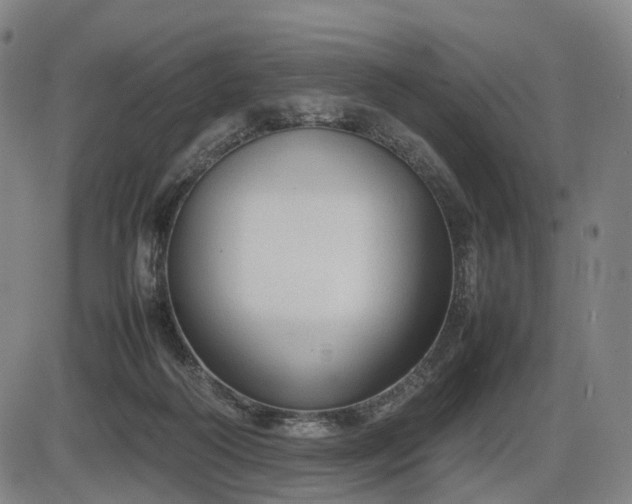X0000086330218200703301238
