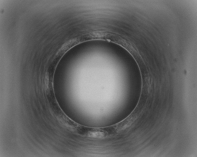 X0000086330220200703301238