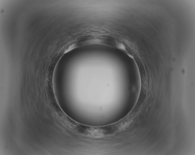X0000086330221200703301238