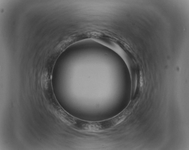 X0000086330223200703301238