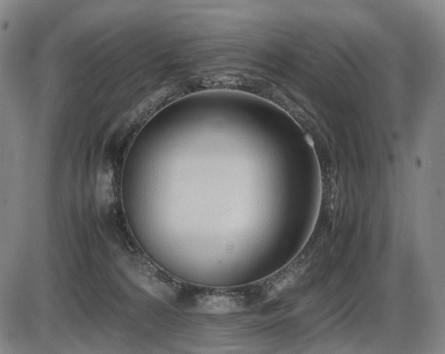 X0000086330224200703301238