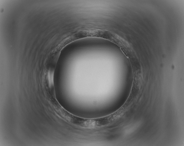 X0000086330225200703301238