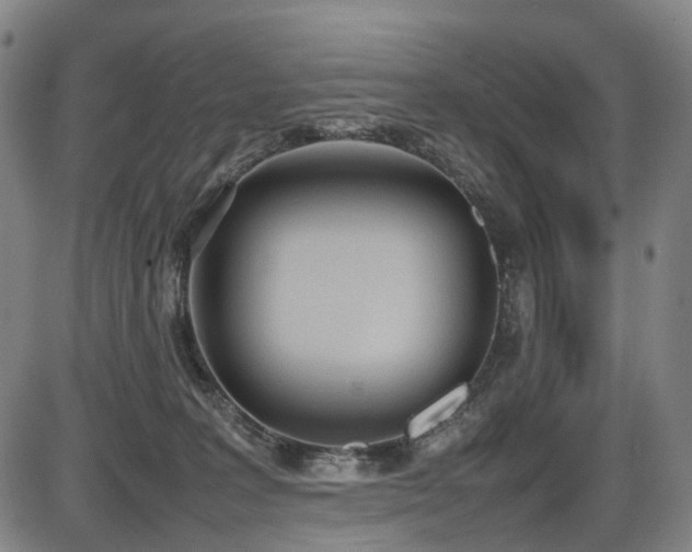 X0000086330227200703301238