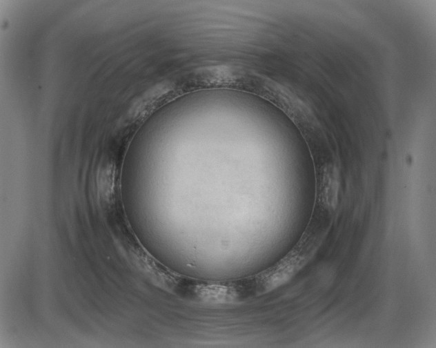 X0000086330230200703301238