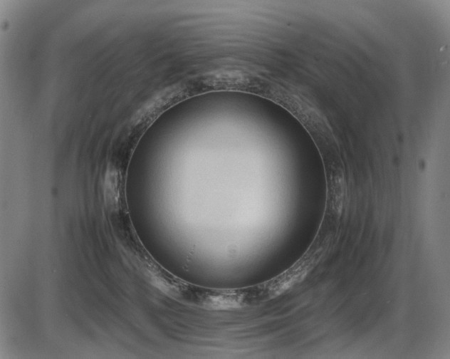 X0000086330232200703301238