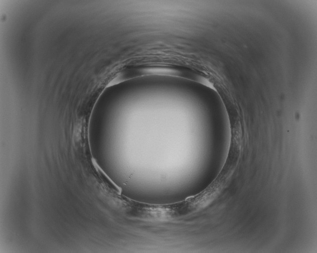 X0000086330233200703301238