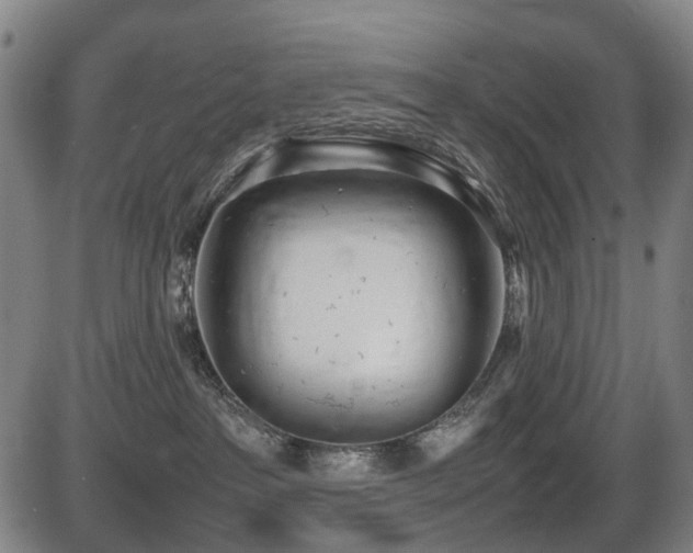 X0000086330237200703301238