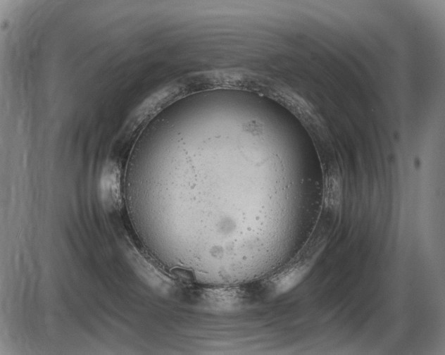X0000086330238200703301238