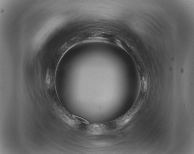 X0000086330239200703301238