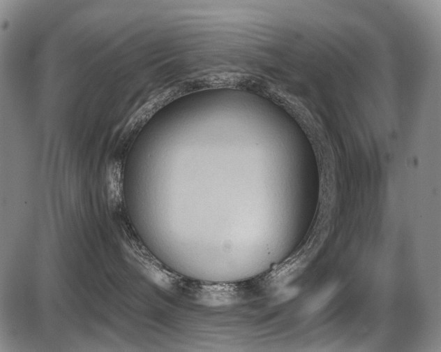 X0000086330240200703301238